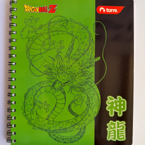 regla plástica transparente 20cm