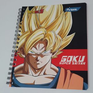 cuaderno universitario