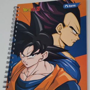 cuaderno universitario